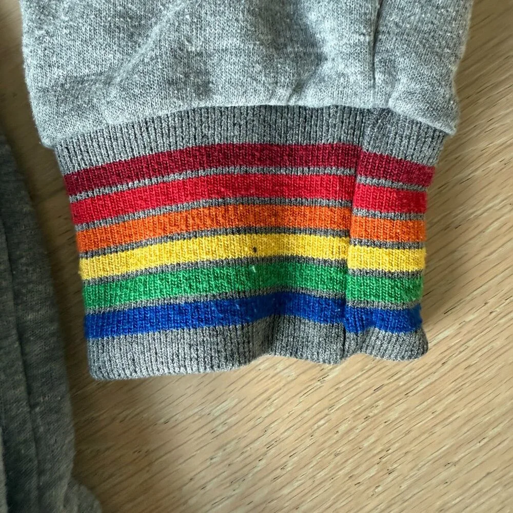 Aviator Nation Rainbow Rib Zip Hoodie in Heather Grey sz LG - Picture 4 of 6